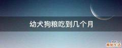 幼犬狗粮吃到几个月