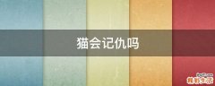 猫会记仇吗