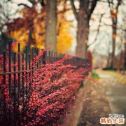 缓解心理压力的六个出气筒