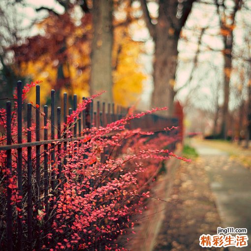 缓解心理压力的六个出气筒