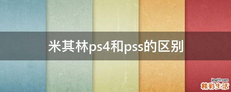 米其林ps4和pss的区别