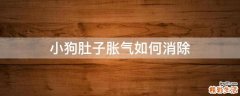 小狗肚子胀气如何消除