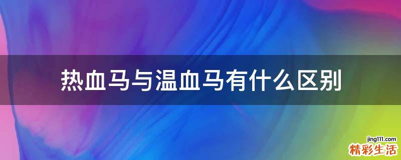 热血马与温血马有什么区别