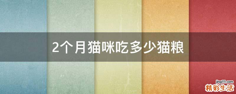 2个月猫咪吃多少猫粮