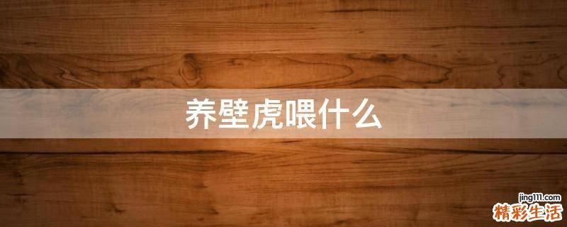 养壁虎喂什么