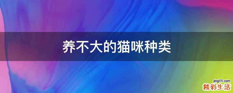 养不大的猫咪种类