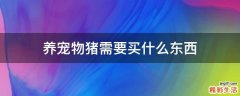 养宠物猪需要买什么东西