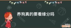 养狗真的要看缘分吗