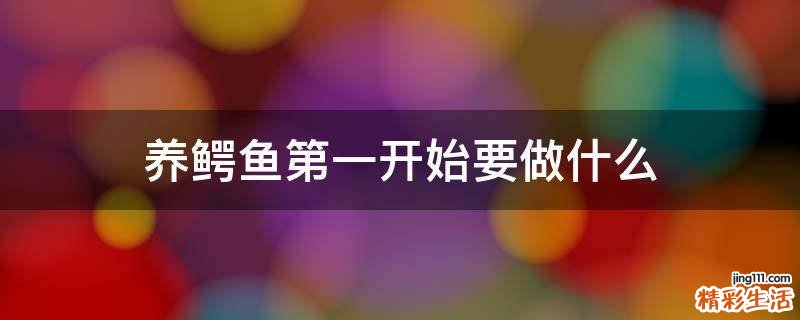 养鳄鱼第一开始要做什么