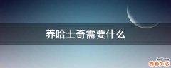 养哈士奇需要什么