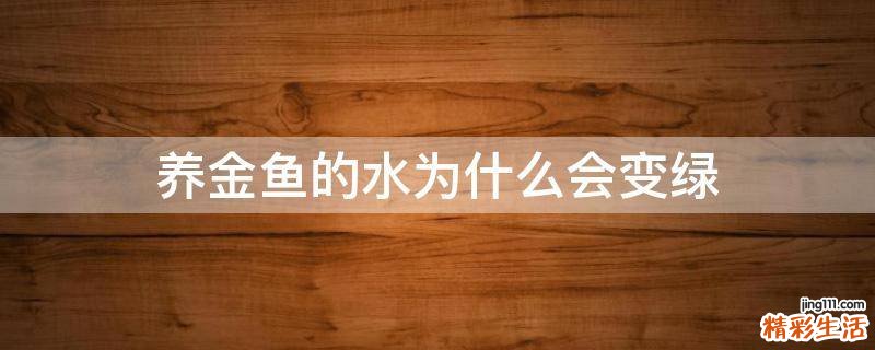 养金鱼的水为什么会变绿