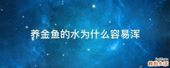 养金鱼的水为什么容易浑