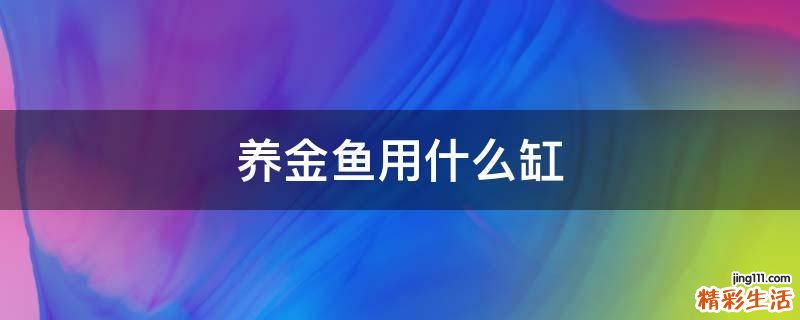 养金鱼用什么缸
