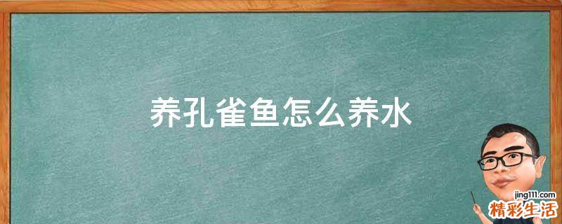 养孔雀鱼怎么养水