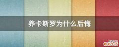 养卡斯罗为什么后悔