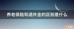 养老保险和退休金的区别是什么