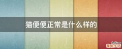 猫便便正常是什么样的