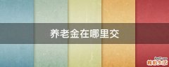养老金在哪里交