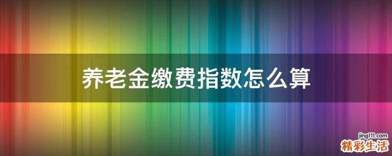 养老金缴费指数怎么算