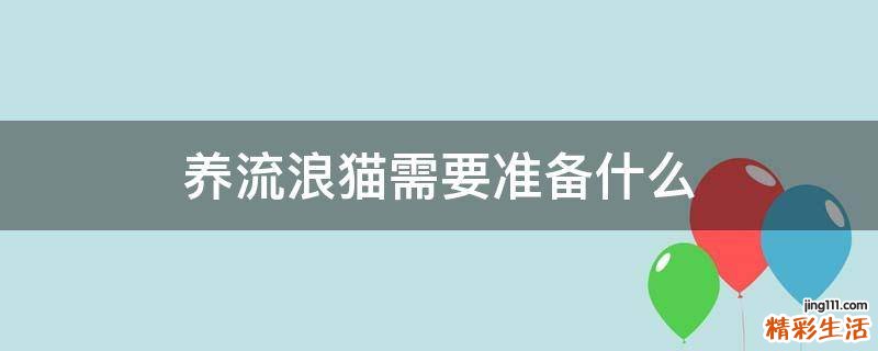 养流浪猫需要准备什么