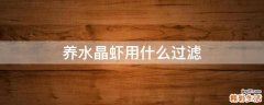 养水晶虾用什么过滤