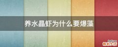养水晶虾为什么要爆藻