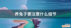 养兔子要注意什么细节