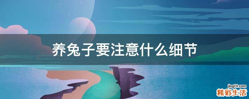 养兔子要注意什么细节