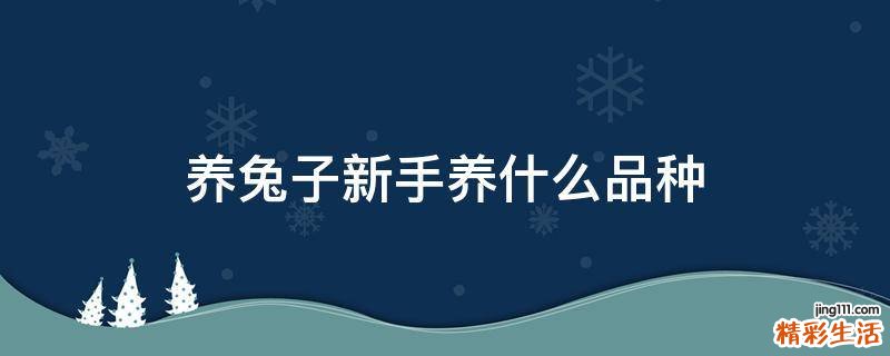 养兔子新手养什么品种