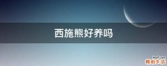 西施熊好养吗