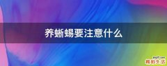 养蜥蜴要注意什么