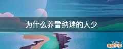 为什么养雪纳瑞的人少