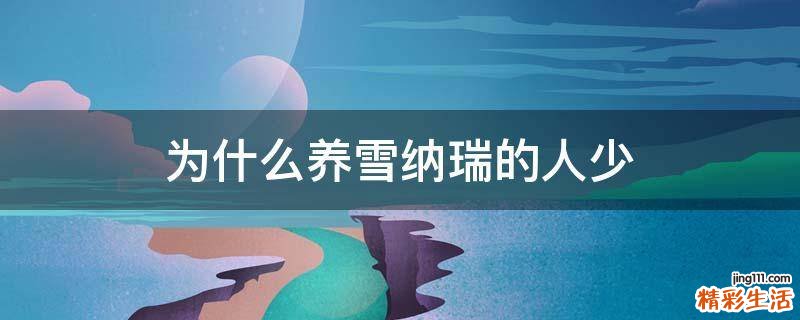 为什么养雪纳瑞的人少