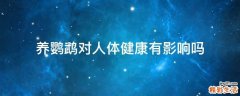 养鹦鹉对人体健康有影响吗
