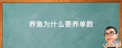 养鱼为什么要养单数