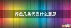 养鱼几条代表什么意思