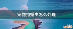 宠物狗螨虫怎么处理
