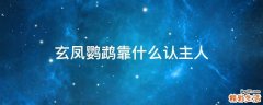 玄凤鹦鹉靠什么认主人