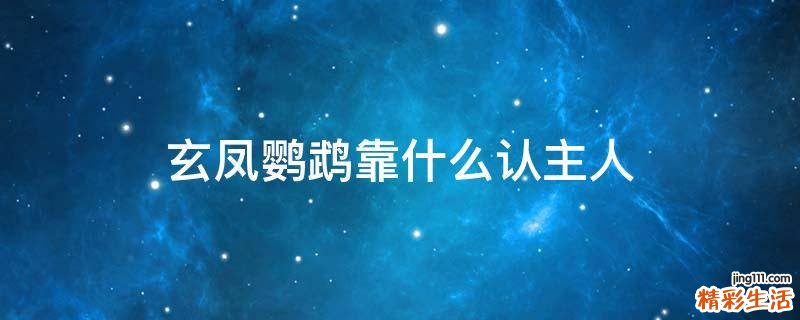 玄凤鹦鹉靠什么认主人