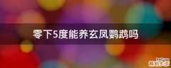 零下5度能养玄凤鹦鹉吗