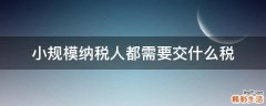 小规模纳税人都需要交什么税