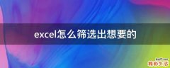 excel怎么筛选出想要的