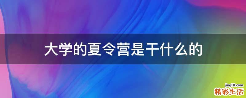 大学的夏令营是干什么的