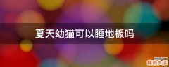 夏天幼猫可以睡地板吗