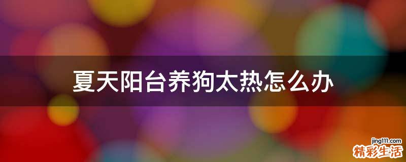 夏天阳台养狗太热怎么办