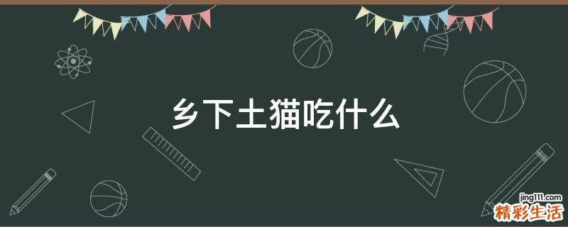 乡下土猫吃什么