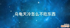 乌龟天冷怎么不吃东西
