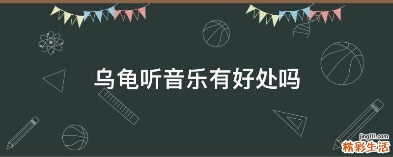 乌龟听音乐有好处吗