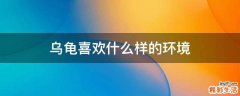 乌龟喜欢什么样的环境