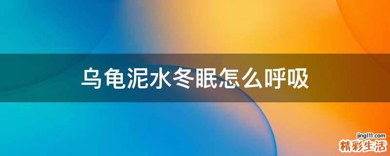 乌龟泥水冬眠怎么呼吸